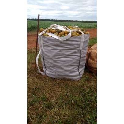 produzimos-big-bags-para-colheita-de-laranja