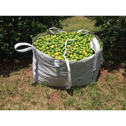 produzimos-big-bags-para-colheita-de-laranja